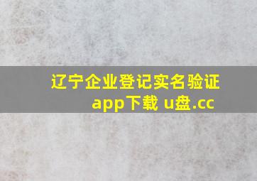 辽宁企业登记实名验证app下载 u盘.cc